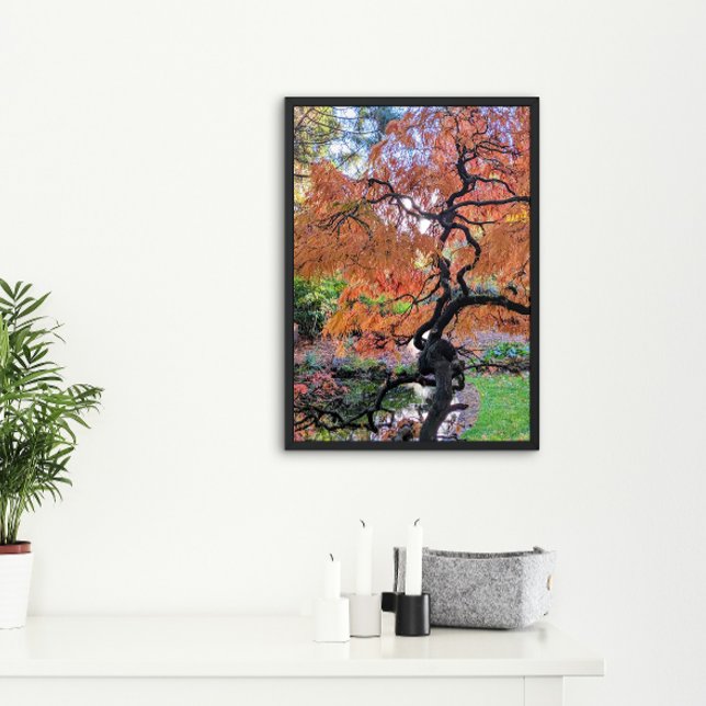 Póster Bordo Japonês Autumn Laceleaf Botânica (In Situ)