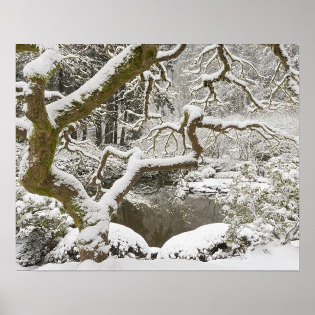 Poster Bordo japonês coberto de neve (Frente)
