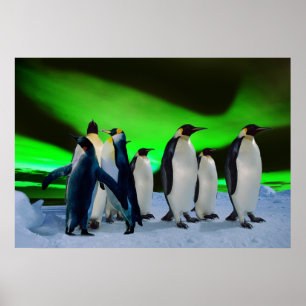 Poster Borealis e pinguins da Aurora