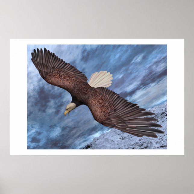 Póster Born To Be Free (Frente)