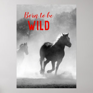 Poster Born to be Wild Black & White Running Horses