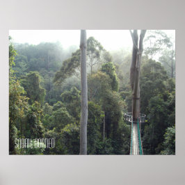 Poster Borneo RainForest Jungle Treetops Walkway Sabah