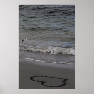 Poster Borrelho no amor
