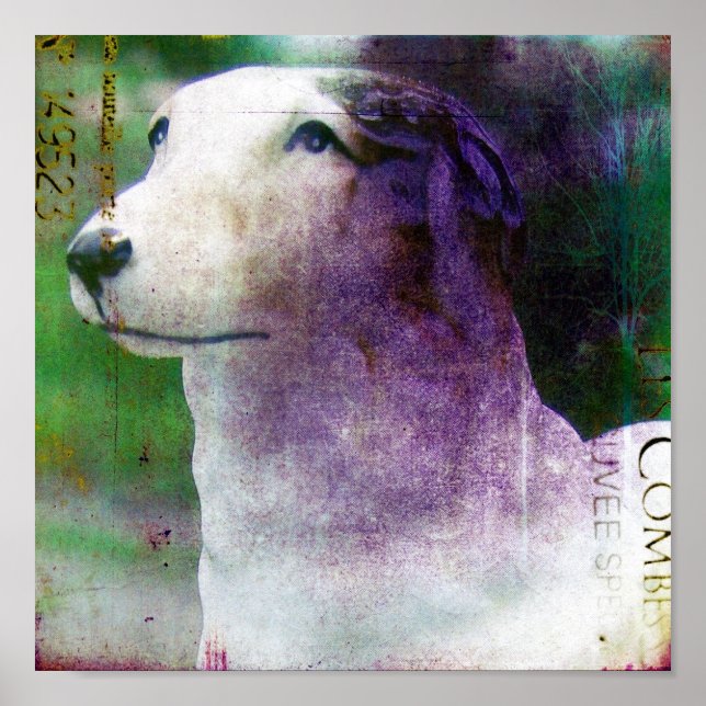 Poster Borzoi (Frente)