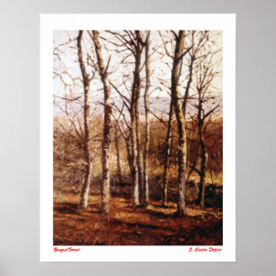 Póster Bosque/Floresta