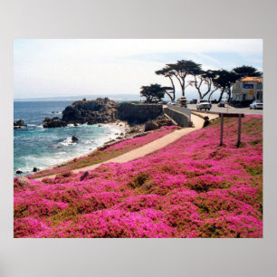 Póster Bosque-Monterey pacífico Calif