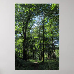 Poster Bosques. Bute Park, Cardiff