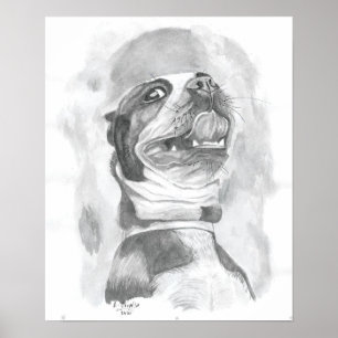 Poster Boston Terrier