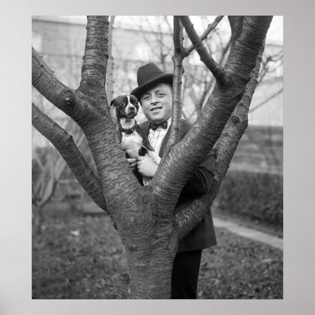 Póster Boston Terrier, 1920 (Frente)