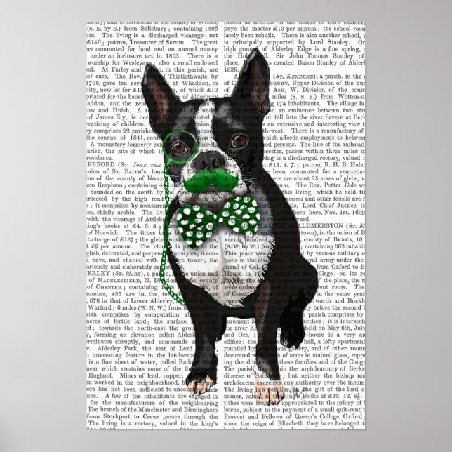 Póster Boston Terrier com bigode verde (Frente)
