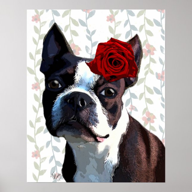 Poster Boston Terrier com Rosa na cabeça (Frente)