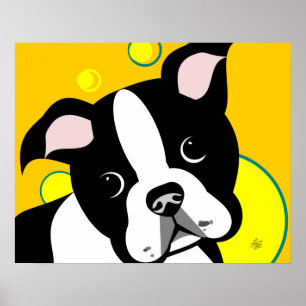Poster Boston Terrier Dog