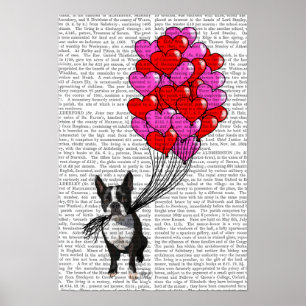 Poster Boston Terrier E Balões