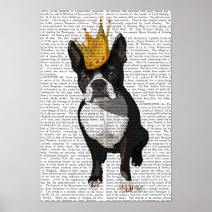 Póster Boston Terrier E Crown