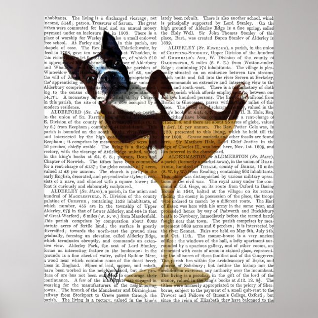 Póster Boston Terrier em Copktail Glass (Frente)