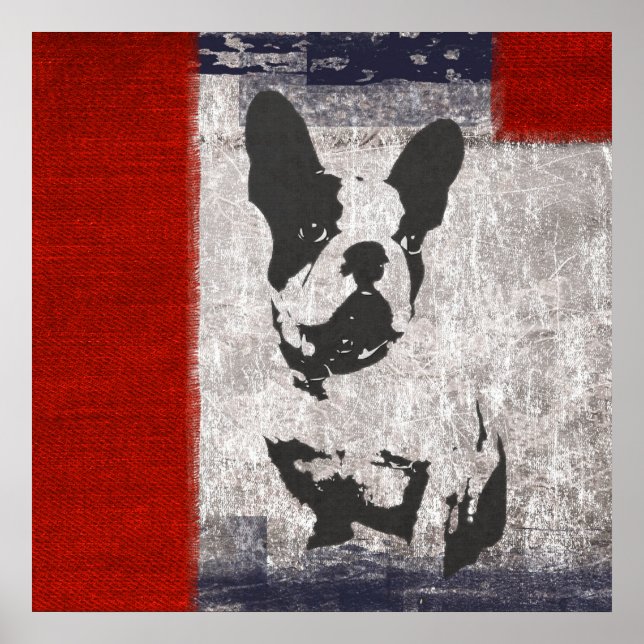 Poster Boston Terrier em preto e branco com limite vermel (Frente)