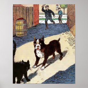 Póster Boston Terrier encontra o gato
