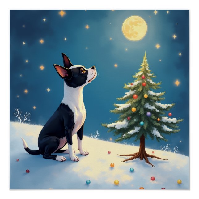 Póster Boston Terrier Estrela da Meia-Noite - Contempland (Frente)