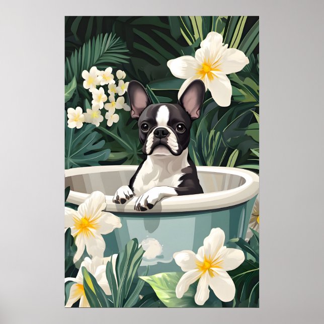 Poster Boston Terrier In Bathtub Poster, Funny Dog (Frente)