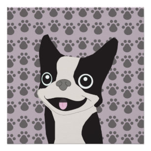 Póster Boston Terrier, Lavanda Roxa