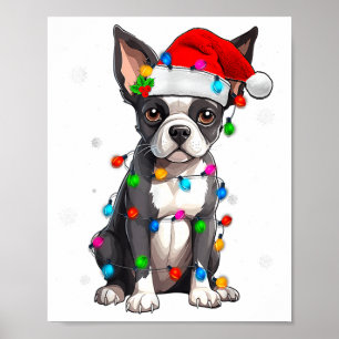 Poster Boston Terrier Natal Chapéu de Papai Noel Luzes da