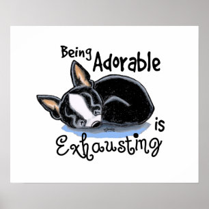 Poster Boston Terrier que é adorável