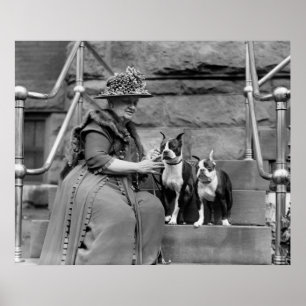Póster Boston Terriers, 1920