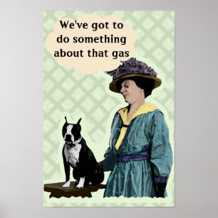 Póster BostonTerrier velho