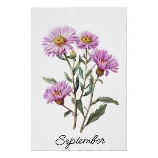 Póster Botânica de Setembro Aster Birth Flower