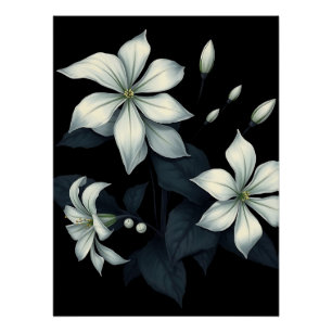 Póster Botânica Escura do Blooming Noturno Jasmine