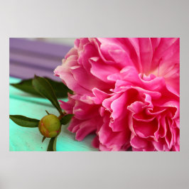 Poster Botânica Simples e Elegante da Flor de Pênia Rosa