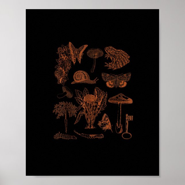Poster Botanical Art, Frog Fungi Goblincore Aesthetic Cot (Frente)