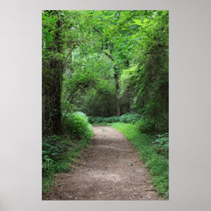 Póster Botanical Series 123