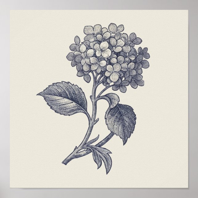 Poster Botanical Toile | Hydrangea Vignette (Frente)