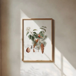 Poster Botânico da Floresta – Pinha e Baga