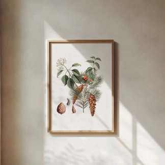 Poster Botânico da Floresta – Pinha e Baga 