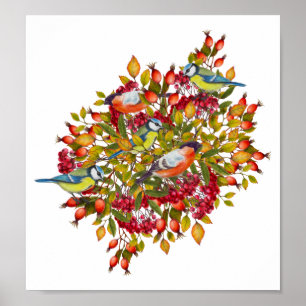 Poster botânico da ilustração das plantas e dos