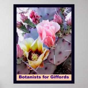 Póster Botânicos para Giffords
