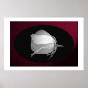 Póster Botão cor-de-rosa (preto & branco)