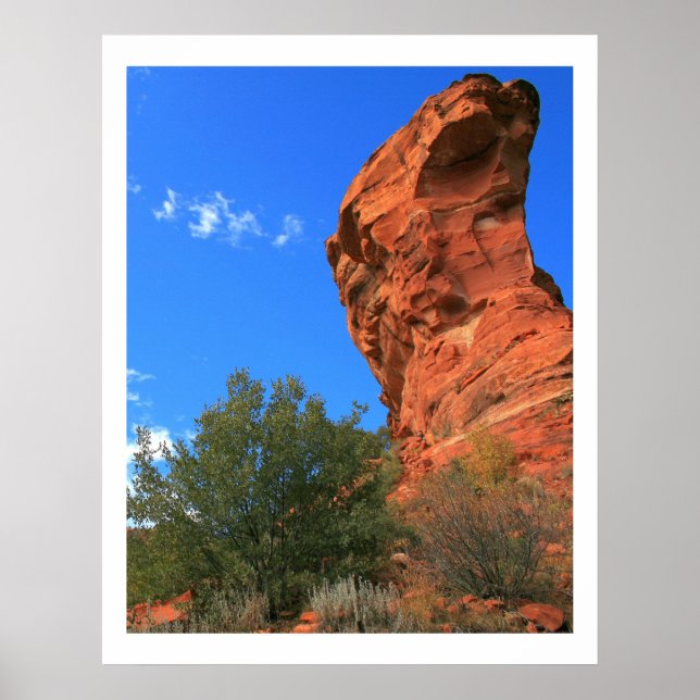 Poster Botão de Vapor (Frente)