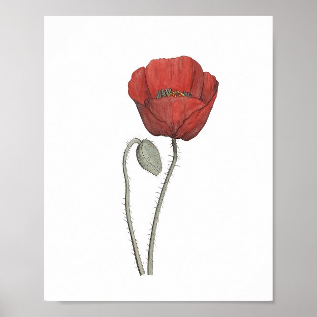 Poster Botão do Flor Vermelho (Frente)