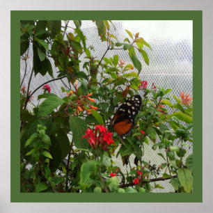 POSTER BOTÃO LARANJA