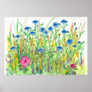 Póster Botão Solteiro Azul Cornflower Watercolor Art