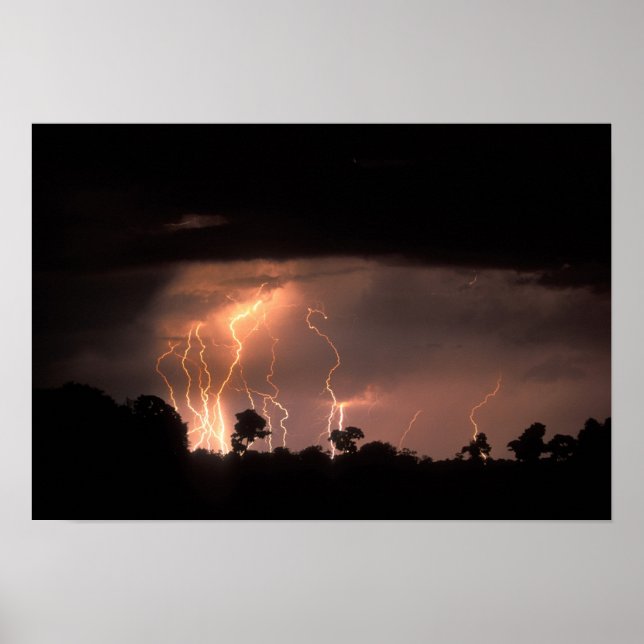 Póster Botswana, Reserva de Caça Moremi, Relâmpagos (Frente)