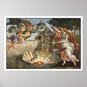 Póster Botticelli's cat