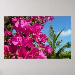 Póster Bougainvillea e Palm Tree Tropical Nature Cena