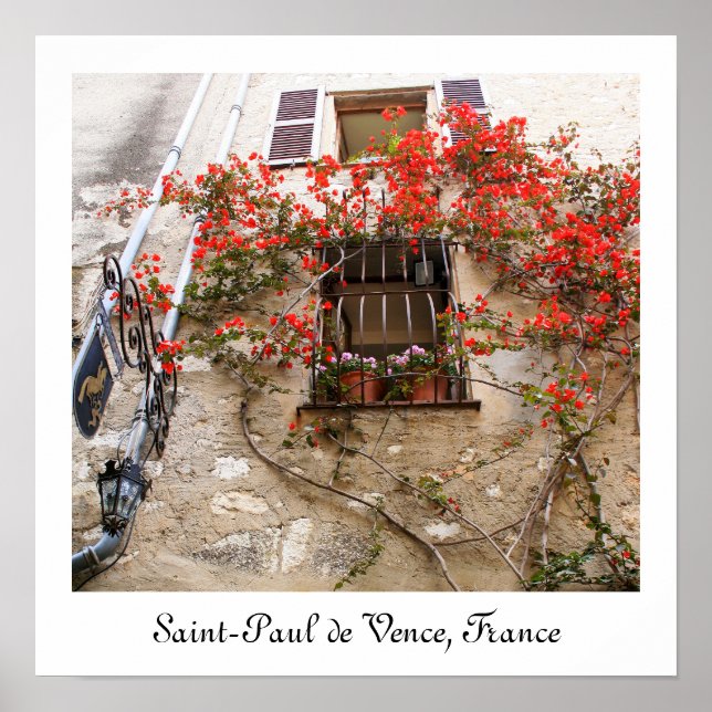 Póster Bougainvillea na janela (Frente)