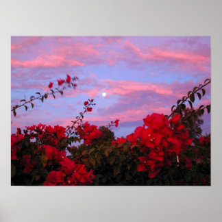 Poster Bougainvilleas e Lua cheia no Sunset