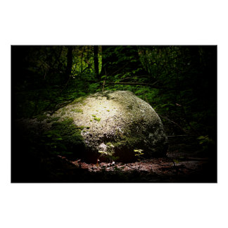 Póster Boulder in the Woods