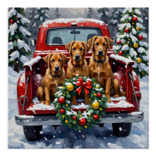 Póster Bouvier des Flandres Caminhão Vermelho de Natal Fe